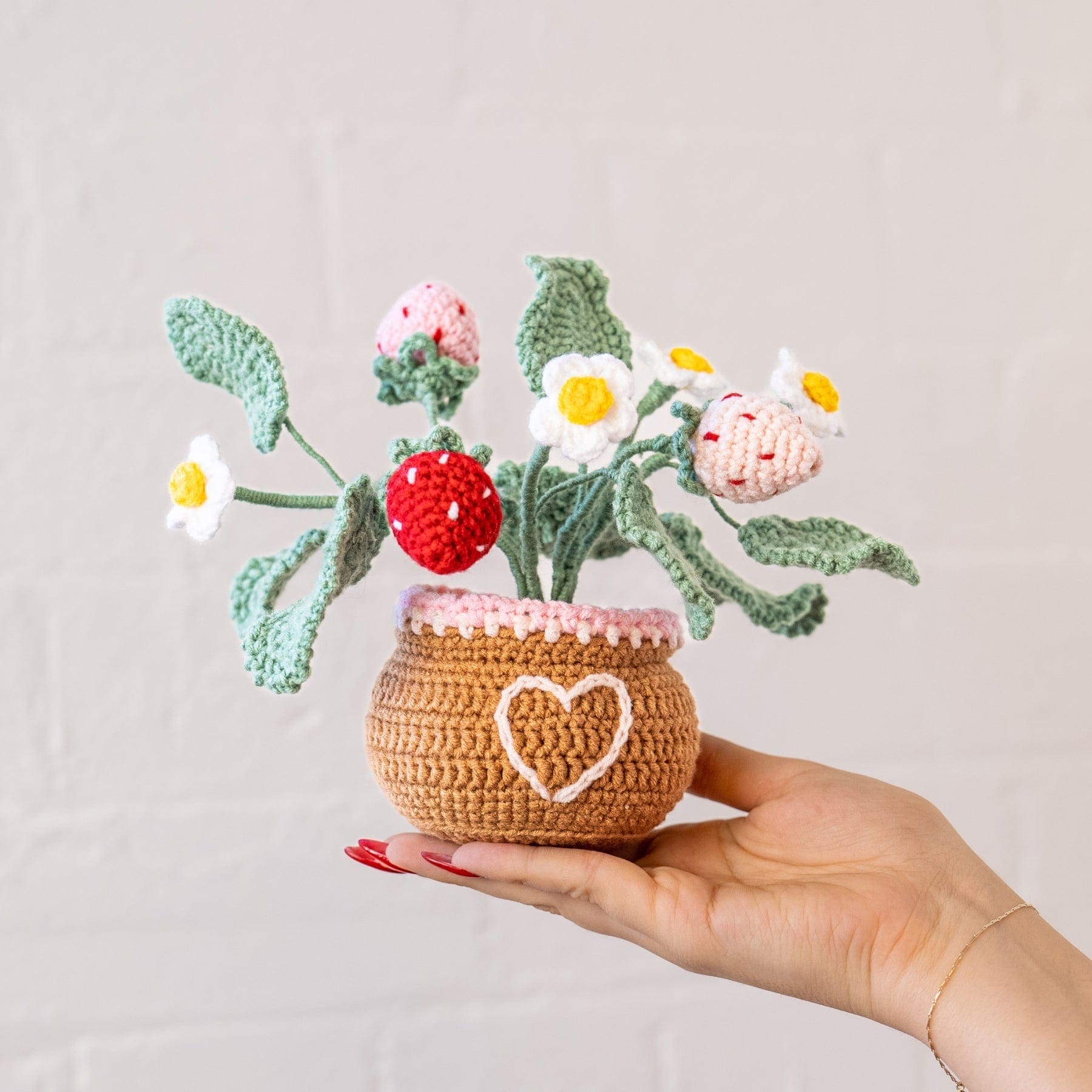 Craft Club Co Strawberry Pot DIY | Crochet Pot Plant Kit