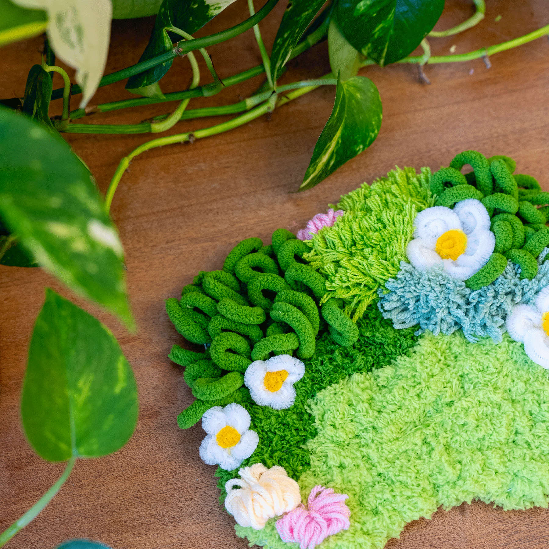 Craft Club Co DAISY Moss Coaster Kit