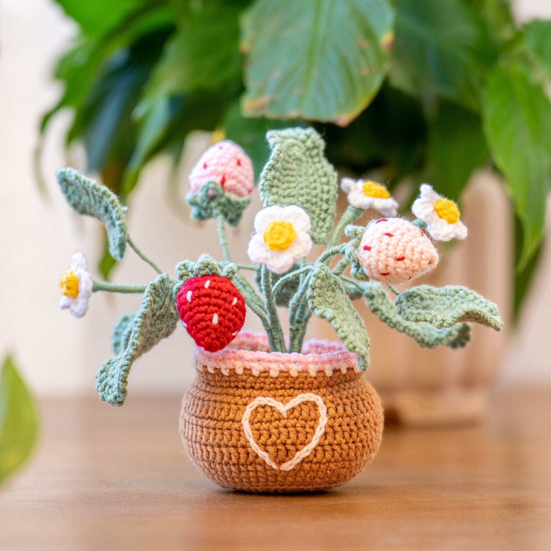 Craft Club Co Strawberry Pot DIY | Crochet Pot Plant Kit
